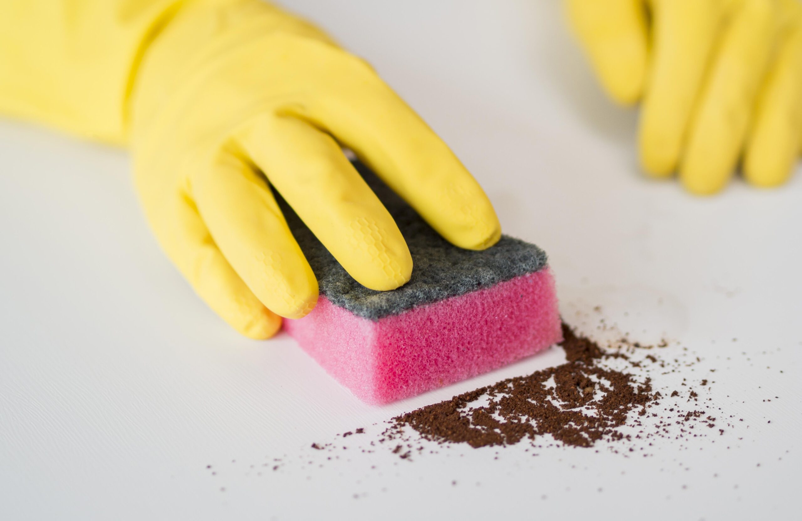 close up disinfecting house with sponge1